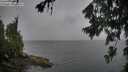 ./images/koeye/fitz-hugh/20260704/fitz-hugh20260704_080501M.jpg