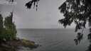 ./images/koeye/fitz-hugh/20260704/fitz-hugh20260704_082001M.jpg