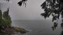 ./images/koeye/fitz-hugh/20260704/fitz-hugh20260704_083501M.jpg