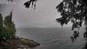 ./images/koeye/fitz-hugh/20260704/fitz-hugh20260704_092002M.jpg