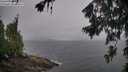./images/koeye/fitz-hugh/20260704/fitz-hugh20260704_093001M.jpg