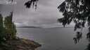 ./images/koeye/fitz-hugh/20260704/fitz-hugh20260704_102502M.jpg