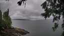 ./images/koeye/fitz-hugh/20260704/fitz-hugh20260704_103002M.jpg