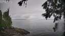 ./images/koeye/fitz-hugh/20260704/fitz-hugh20260704_113002M.jpg