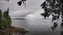 ./images/koeye/fitz-hugh/20260704/fitz-hugh20260704_114001M.jpg