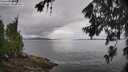 ./images/koeye/fitz-hugh/20260704/fitz-hugh20260704_114501M.jpg