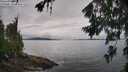 ./images/koeye/fitz-hugh/20260704/fitz-hugh20260704_121502M.jpg
