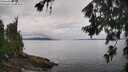 ./images/koeye/fitz-hugh/20260704/fitz-hugh20260704_123002M.jpg