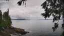 ./images/koeye/fitz-hugh/20260704/fitz-hugh20260704_123501M.jpg