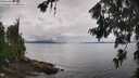 ./images/koeye/fitz-hugh/20260704/fitz-hugh20260704_124001M.jpg