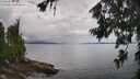 ./images/koeye/fitz-hugh/20260704/fitz-hugh20260704_125001M.jpg