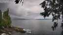./images/koeye/fitz-hugh/20260704/fitz-hugh20260704_130501M.jpg