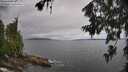 ./images/koeye/fitz-hugh/20260704/fitz-hugh20260704_132002M.jpg