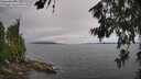 ./images/koeye/fitz-hugh/20260704/fitz-hugh20260704_132501M.jpg