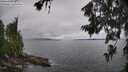 ./images/koeye/fitz-hugh/20260704/fitz-hugh20260704_134001M.jpg