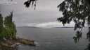 ./images/koeye/fitz-hugh/20260704/fitz-hugh20260704_135002M.jpg
