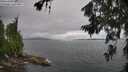 ./images/koeye/fitz-hugh/20260704/fitz-hugh20260704_135501M.jpg