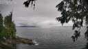 ./images/koeye/fitz-hugh/20260704/fitz-hugh20260704_141002M.jpg