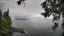 ./images/koeye/fitz-hugh/20260704/fitz-hugh20260704_141501M.jpg