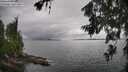 ./images/koeye/fitz-hugh/20260704/fitz-hugh20260704_142001M.jpg