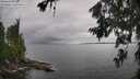 ./images/koeye/fitz-hugh/20260704/fitz-hugh20260704_142502M.jpg
