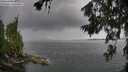./images/koeye/fitz-hugh/20260704/fitz-hugh20260704_144002M.jpg