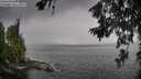 ./images/koeye/fitz-hugh/20260704/fitz-hugh20260704_144501M.jpg