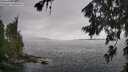 ./images/koeye/fitz-hugh/20260704/fitz-hugh20260704_150501M.jpg