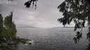 ./images/koeye/fitz-hugh/20260704/fitz-hugh20260704_151001M.jpg