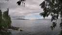 ./images/koeye/fitz-hugh/20260704/fitz-hugh20260704_152501M.jpg