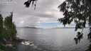 ./images/koeye/fitz-hugh/20260704/fitz-hugh20260704_155002M.jpg