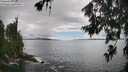 ./images/koeye/fitz-hugh/20260704/fitz-hugh20260704_155501M.jpg