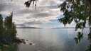 ./images/koeye/fitz-hugh/20260704/fitz-hugh20260704_164002M.jpg