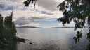 ./images/koeye/fitz-hugh/20260704/fitz-hugh20260704_165001M.jpg
