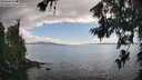 ./images/koeye/fitz-hugh/20260704/fitz-hugh20260704_172501M.jpg