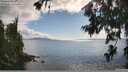 ./images/koeye/fitz-hugh/20260704/fitz-hugh20260704_173737M.jpg