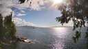 ./images/koeye/fitz-hugh/20260704/fitz-hugh20260704_175502M.jpg