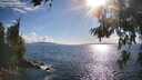 ./images/koeye/fitz-hugh/20260704/fitz-hugh20260704_181144M.jpg