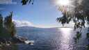 ./images/koeye/fitz-hugh/20260704/fitz-hugh20260704_183001M.jpg