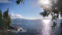 ./images/koeye/fitz-hugh/20260704/fitz-hugh20260704_183501M.jpg