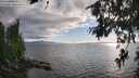 ./images/koeye/fitz-hugh/20260704/fitz-hugh20260704_192001M.jpg