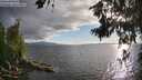 ./images/koeye/fitz-hugh/20260704/fitz-hugh20260704_193501M.jpg