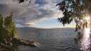 ./images/koeye/fitz-hugh/20260704/fitz-hugh20260704_203006M.jpg