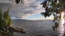 ./images/koeye/fitz-hugh/20260704/fitz-hugh20260704_204001M.jpg