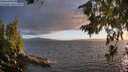 ./images/koeye/fitz-hugh/20260704/fitz-hugh20260704_210501M.jpg