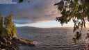 ./images/koeye/fitz-hugh/20260704/fitz-hugh20260704_211001M.jpg