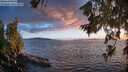 ./images/koeye/fitz-hugh/20260704/fitz-hugh20260704_213001M.jpg
