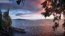 ./images/koeye/fitz-hugh/20260704/fitz-hugh20260704_214001M.jpg