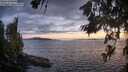 ./images/koeye/fitz-hugh/20260704/fitz-hugh20260704_215501M.jpg