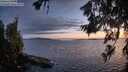 ./images/koeye/fitz-hugh/20260704/fitz-hugh20260704_222001M.jpg